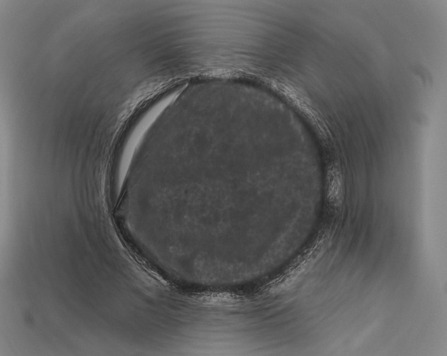 X0000112930685200909141334