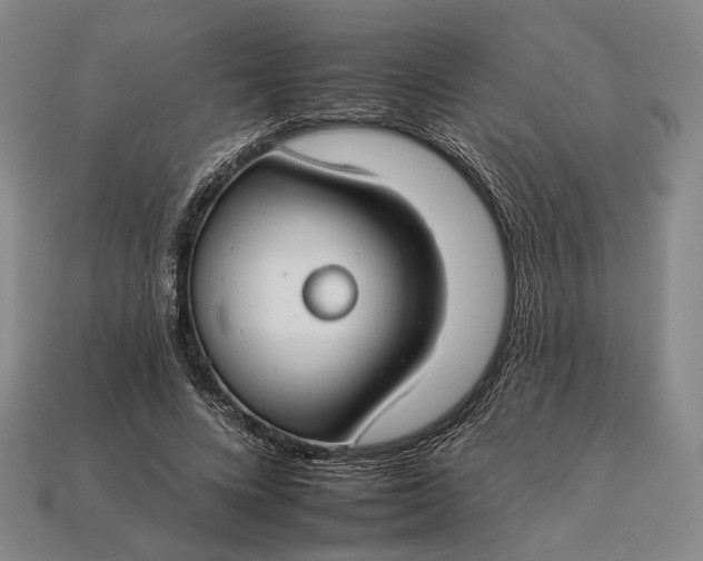 X0000112930688200909141334