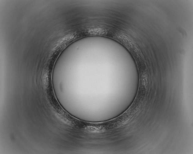 X0000112930690200909141334