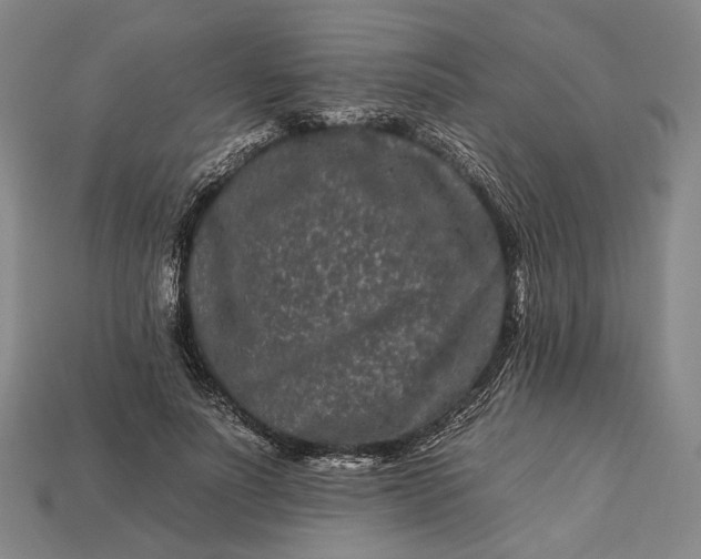 X0000112930691200909141334