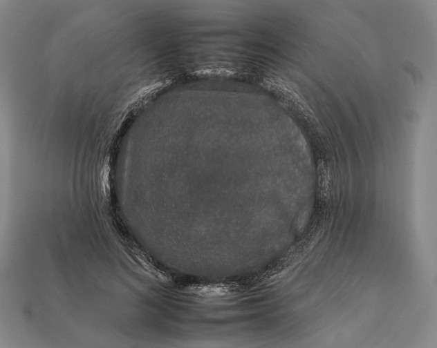 X0000112930692200909141334