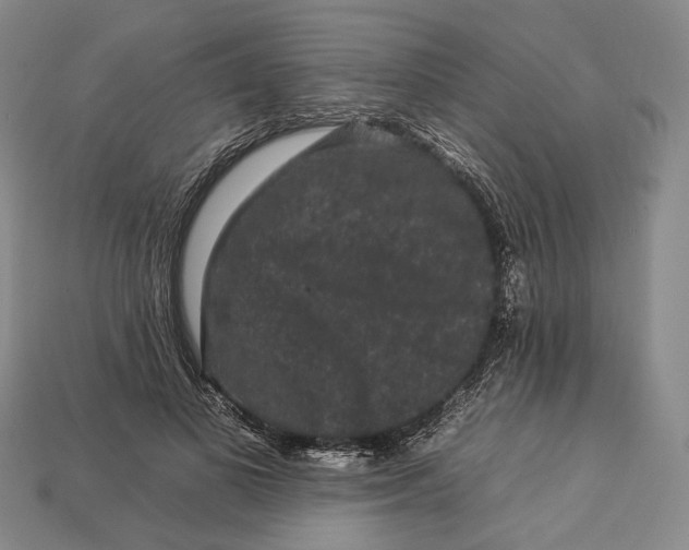 X0000112930693200909141334