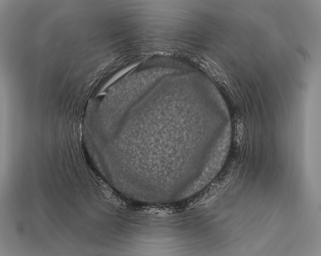 X0000112930697200909141334