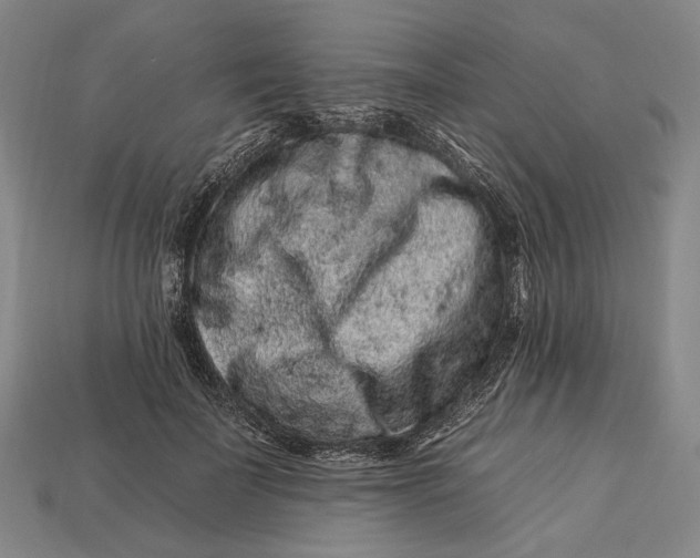 X0000112930699200909141334