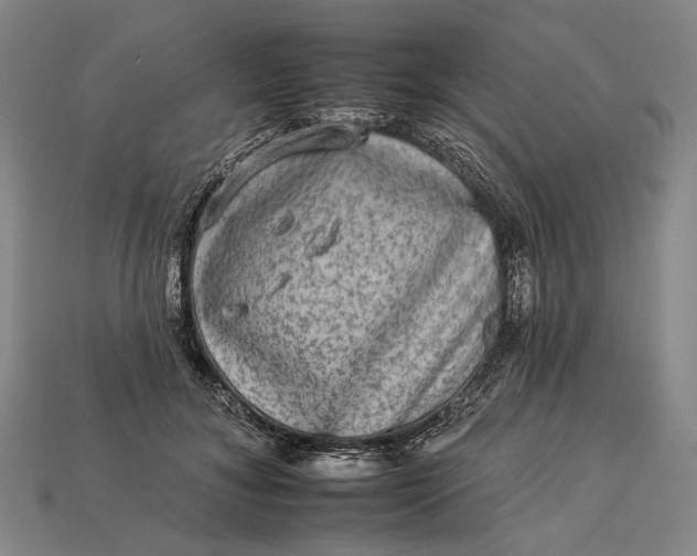 X0000112930700200909141334