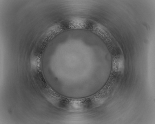 X0000112930701200909141334