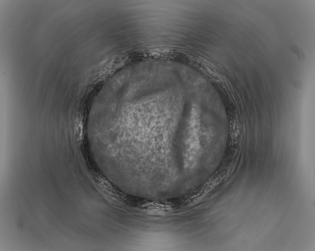 X0000112930703200909141334