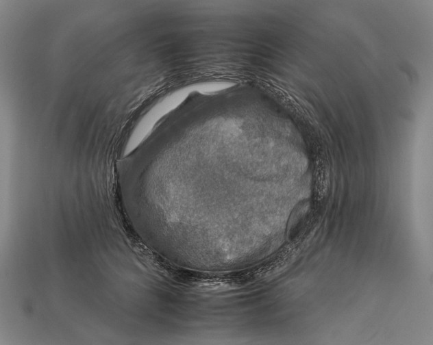 X0000112930704200909141334