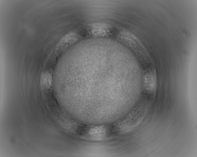 X0000112930705200909141334