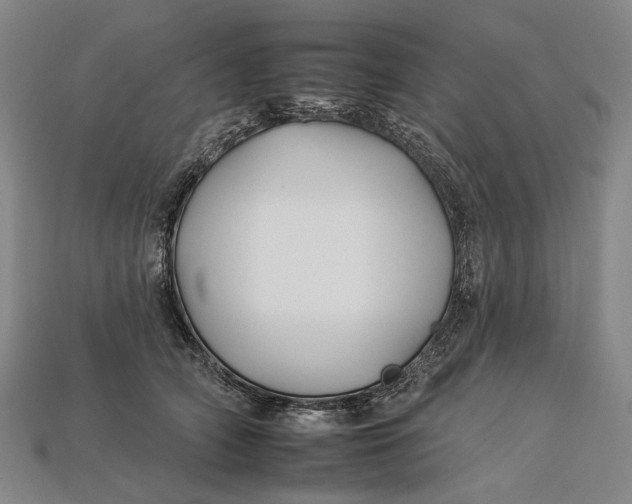 X0000112930706200909141334