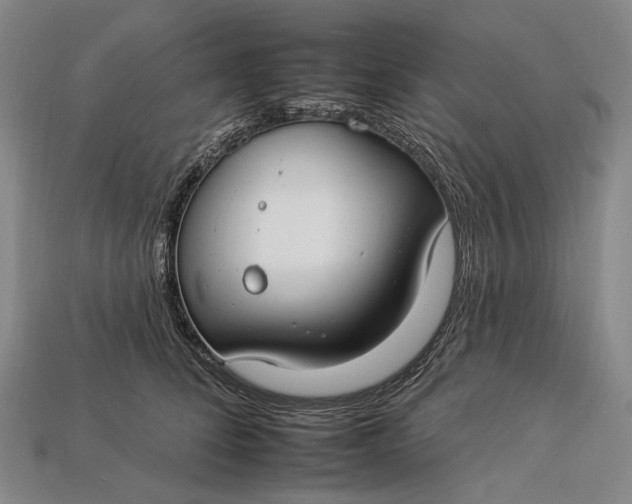 X0000112930708200909141334