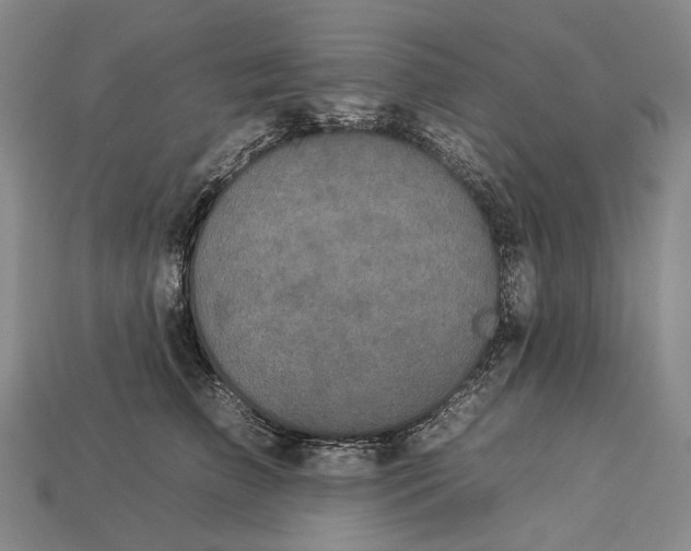 X0000112930709200909141334