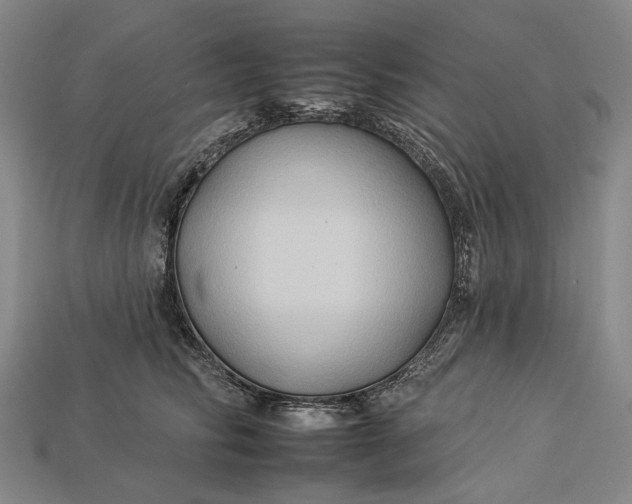 X0000112930710200909141334