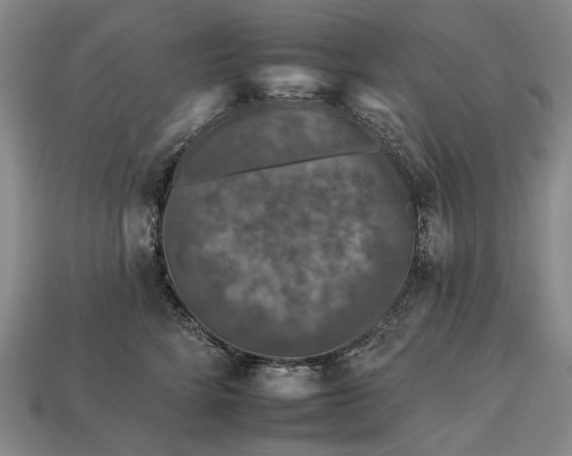 X0000112930712200909141334