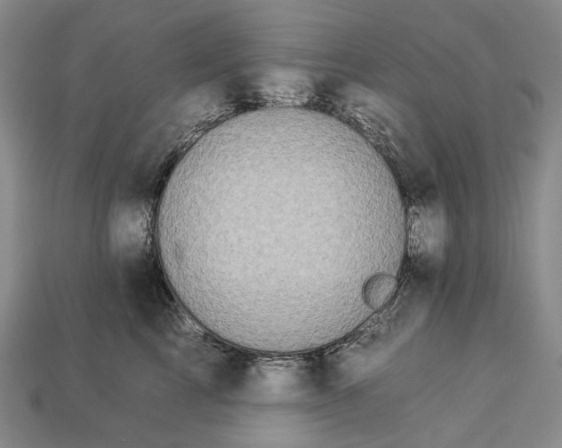 X0000112930713200909141334