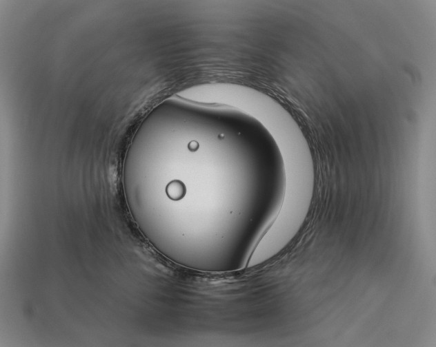 X0000112930716200909141334