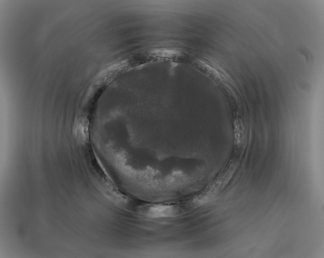 X0000112930718200909141333