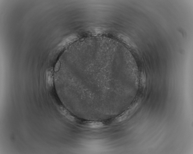 X0000112930719200909141333