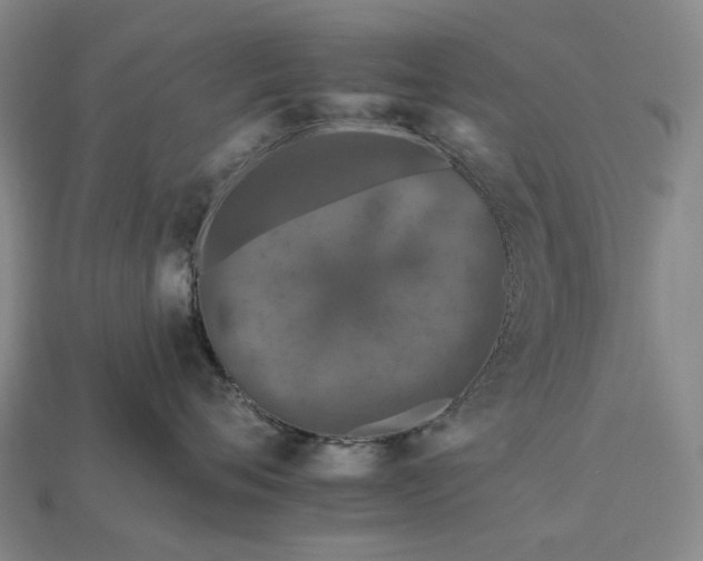 X0000112930720200909141333