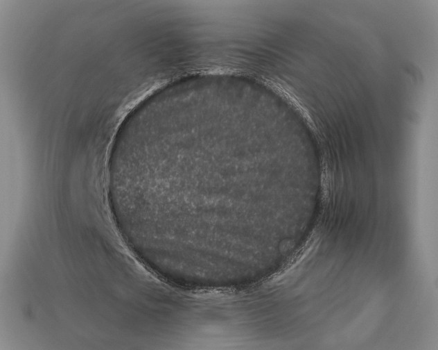 X0000112930721200909141333