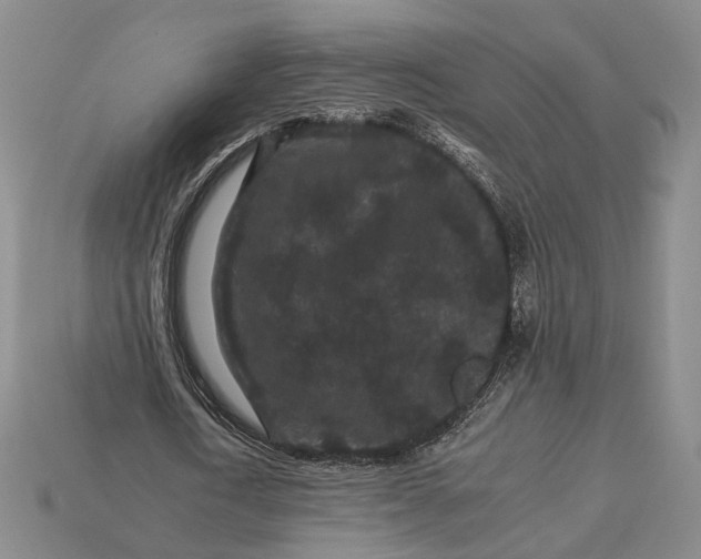 X0000112930722200909141333