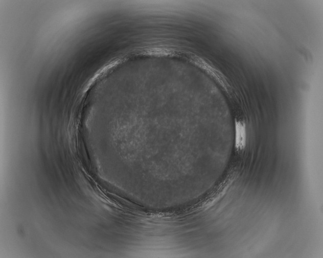 X0000112930723200909141333