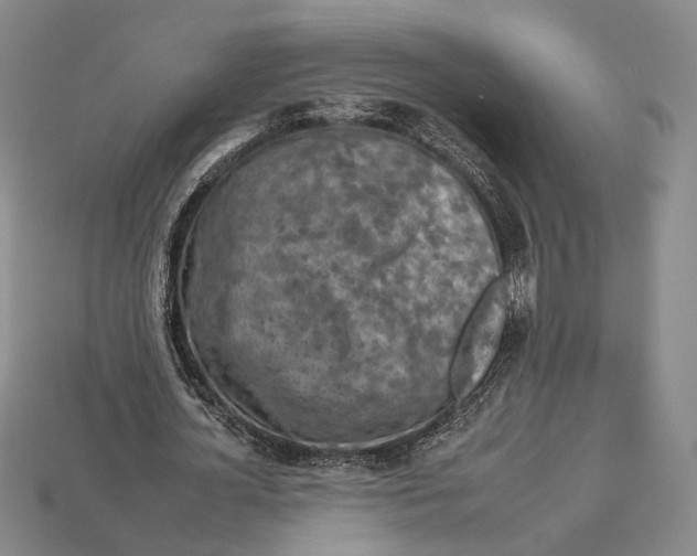 X0000112930724200909141333