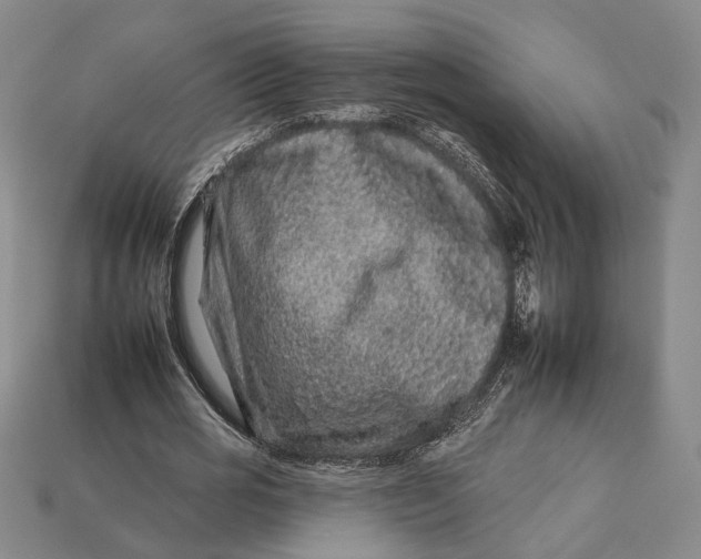 X0000112930725200909141333