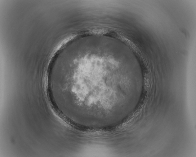 X0000112930726200909141333