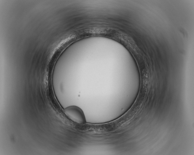 X0000112930727200909141333