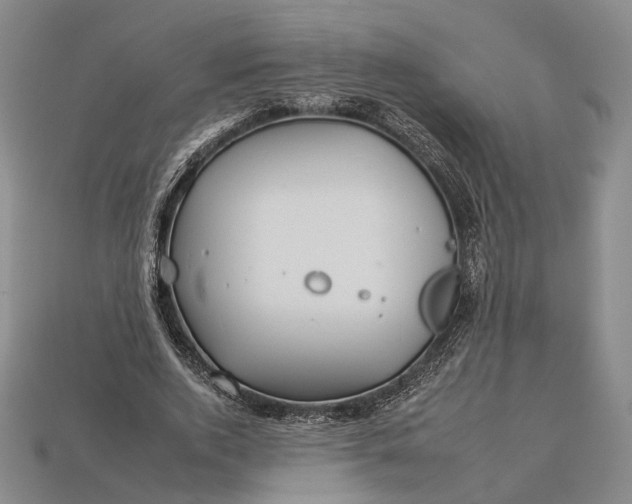 X0000112930728200909141333