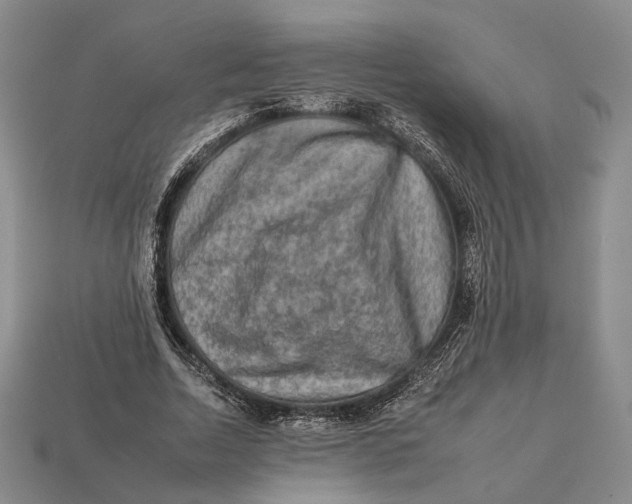 X0000112930730200909141333