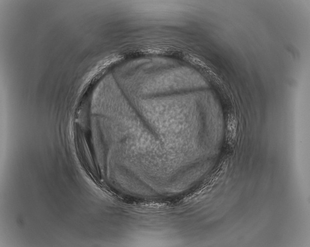 X0000112930734200909141333