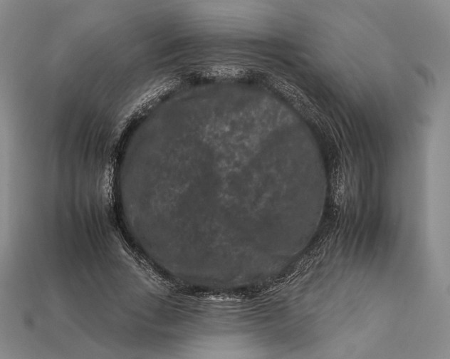 X0000112930735200909141333