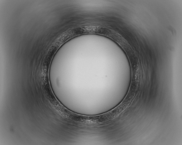 X0000112930737200909141333