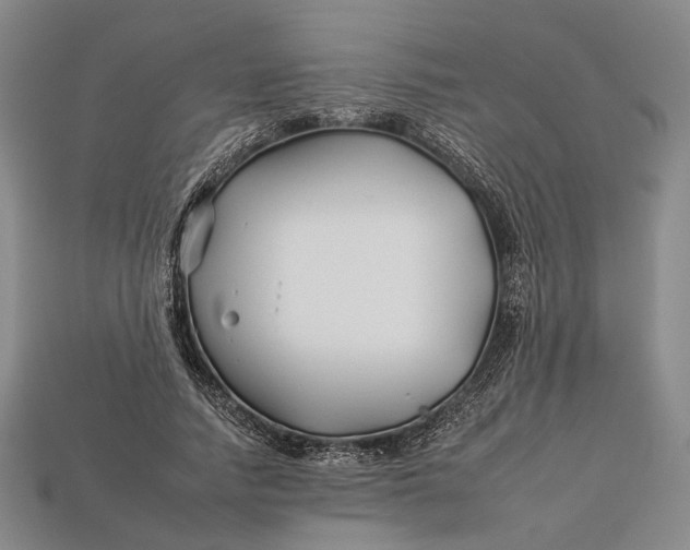 X0000112930738200909141333