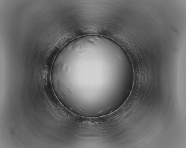 X0000112930739200909141333