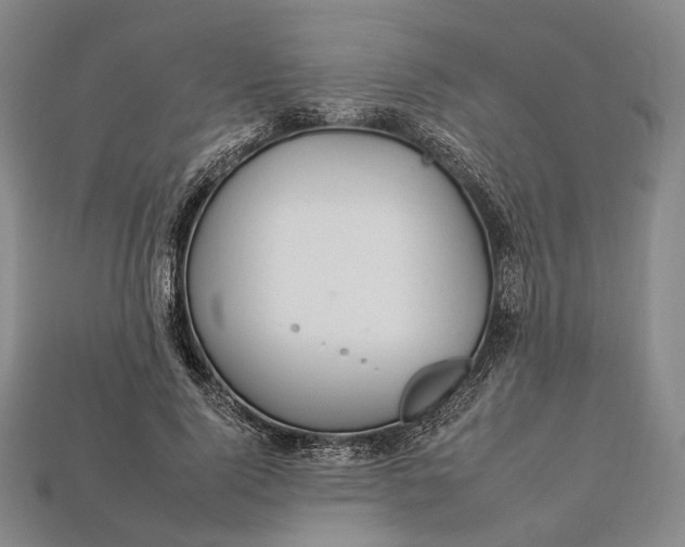 X0000112930740200909141333