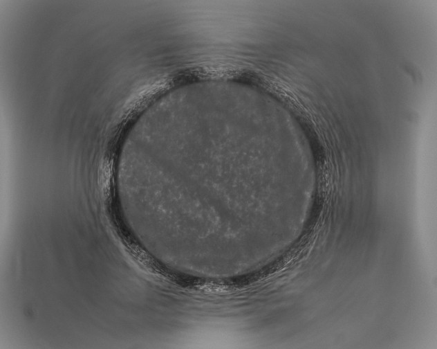 X0000112930742200909141333