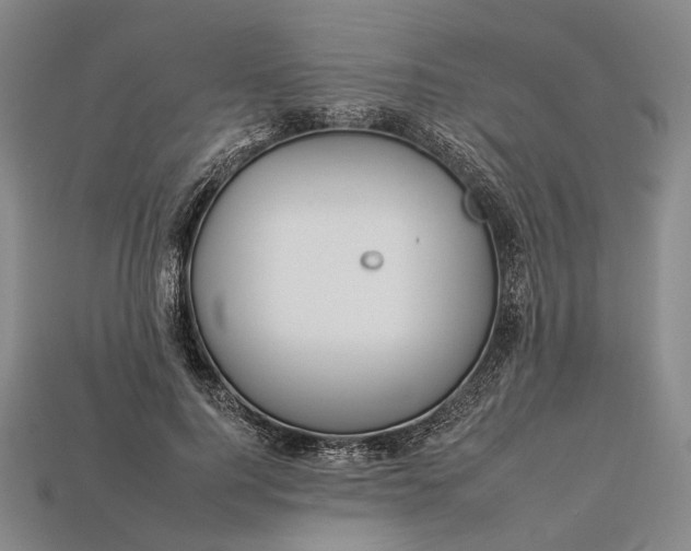 X0000112930744200909141333