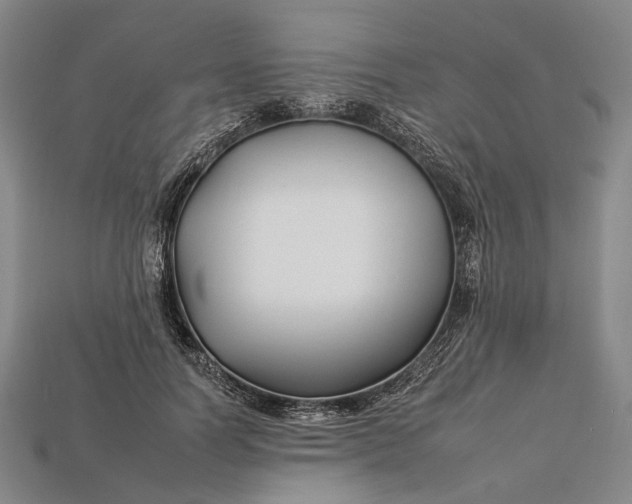 X0000112930746200909141333