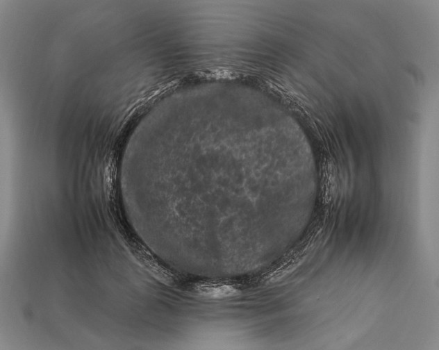 X0000112930747200909141333