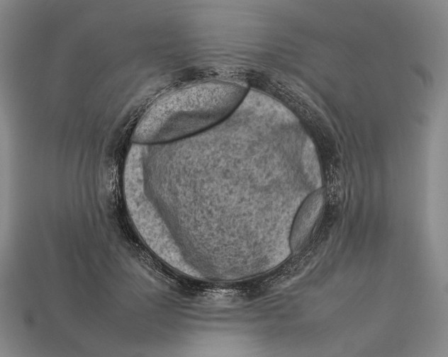 X0000112930748200909141333