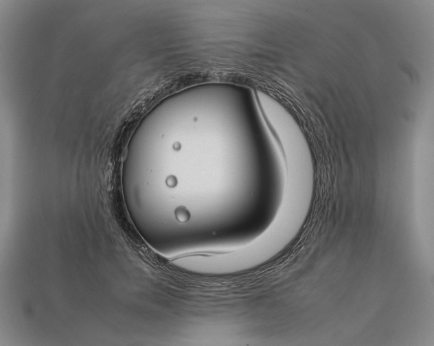 X0000112930750200909141333