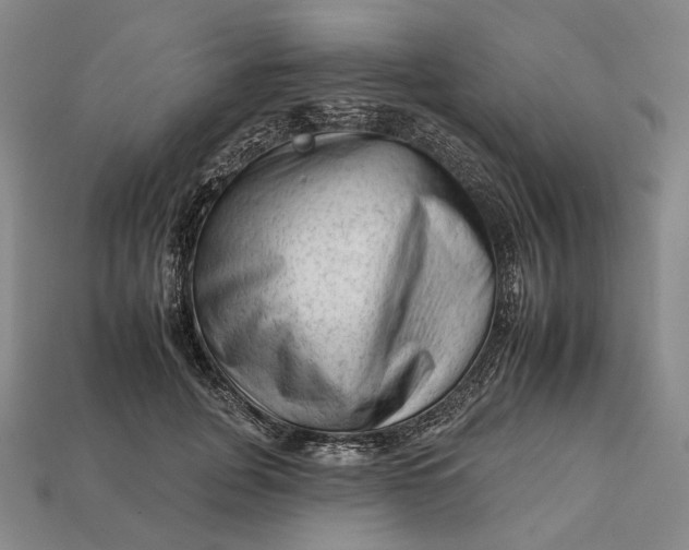 X0000112930751200909141333