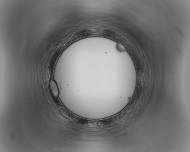 X0000112930752200909141333