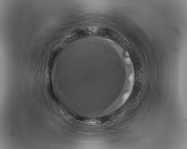 X0000112930754200909141333