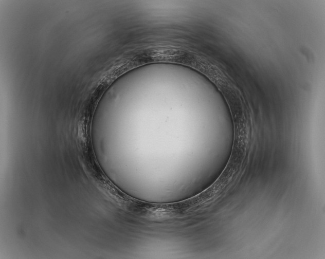 X0000112930755200909141333