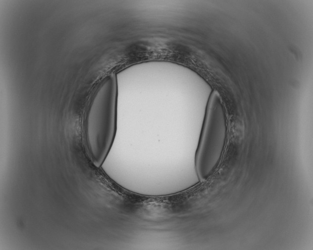 X0000112930756200909141333