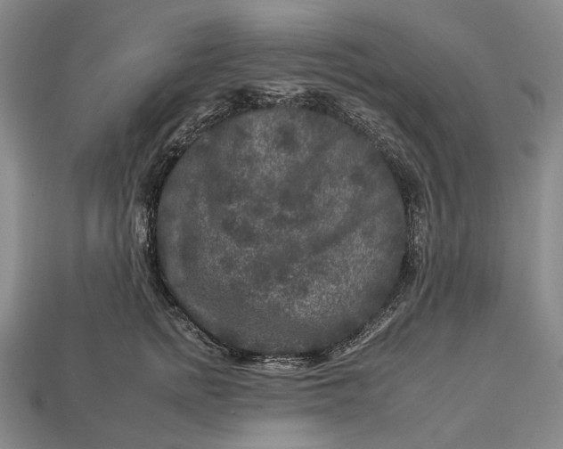 X0000112930758200909141333